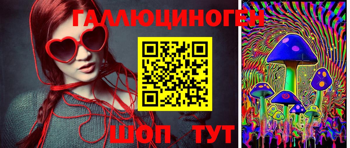Псилоцибиновые грибы Psilocybine cubensis  Вход с VPN  где можно купить наркотик  Шадринск  Галлюциногенные грибы GOLDEN TEACHER 